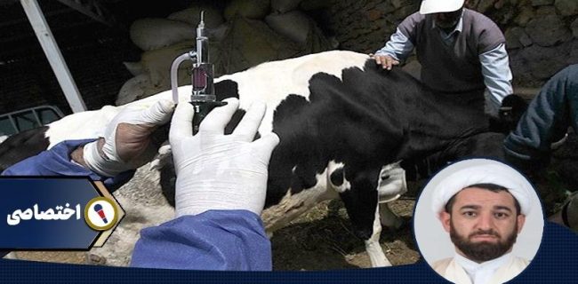 امام‌جمعه شهرستان دهدشت از شیوع بیماری تب مالت در روستاهای این منطقه که بیماری حیوانی قابل انتقال به انسان است خبر داد و افزود: طبق مشاهدات دامپزشکی و آزمایش‌های انجام گرفته، این مشکل مسلم است و یک دغدغه برای مردم است که مشکلاتی در سلامتی مردم شهرستان و استان در پی خواهد داشت