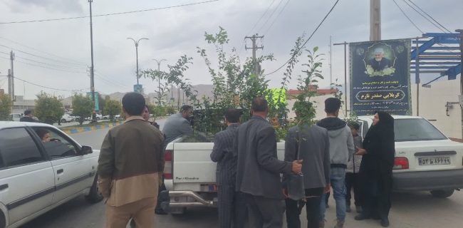 ۱۵۰ اصله نهال مرکبات به مناسبت دهه فجر در بهمئی توزیع شد