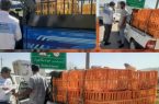 توقیف وانت‌های عرضه‌کننده غیرمجاز «مرغ زنده تخم‌گذار» در یاسوج