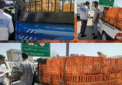 توقیف وانت‌های عرضه‌کننده غیرمجاز «مرغ زنده تخم‌گذار» در یاسوج