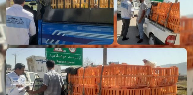 توقیف وانتهای عرضهكننده غيرمجاز «مرغ زنده تخمگذار» در یاسوج توقیف وانتهای عرضهکننده غیرمجاز «مرغ زنده تخمگذار» در یاسوج