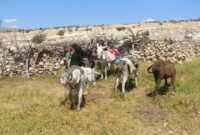 فریاد زیرساختی از بخش ممبی؛ اهالی پهنوک و روستاهای اطراف خواستار ورود جهادی ادارات شدند