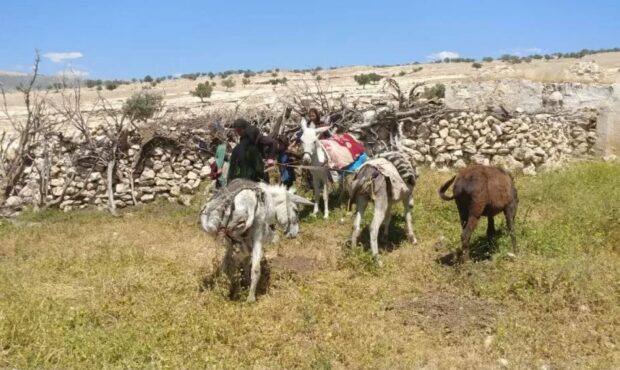 فریاد زیرساختی از بخش ممبی؛ اهالی پهنوک و روستاهای اطراف خواستار ورود جهادی ادارات شدند