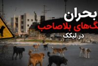 وقتی پای سگ‌ها به امنیت‌روانی مردم باز می‌شود