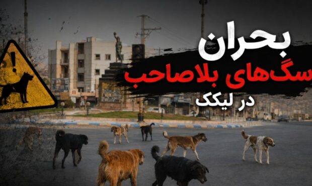 وقتی پای سگ‌ها به امنیت‌روانی مردم باز می‌شود